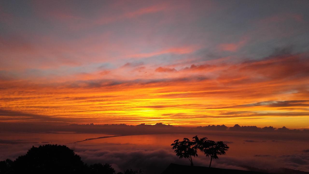 El Dorado Nature Reserve Villa มินกา ภายนอก รูปภาพ
